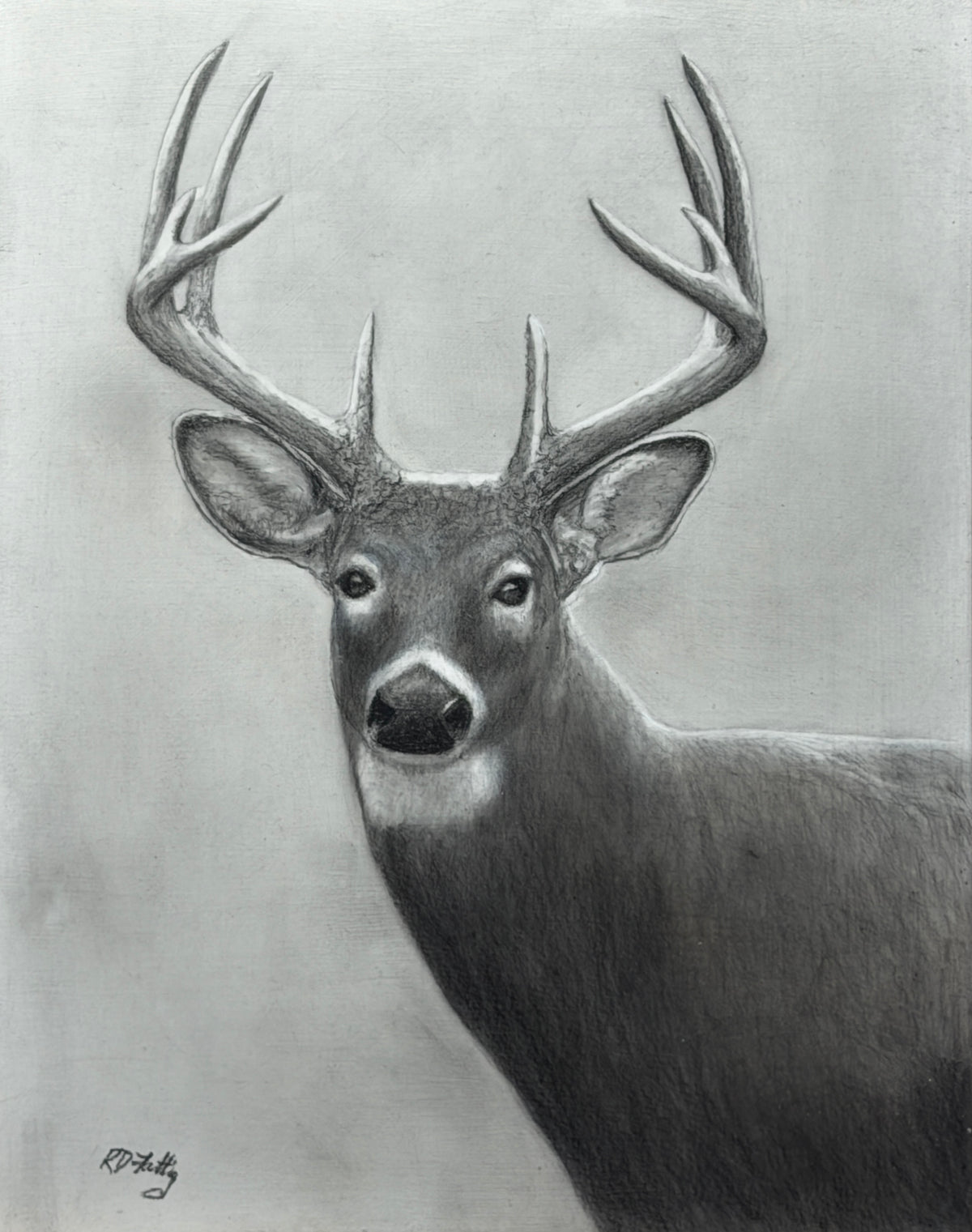 Watcher II – original charcoal on board, 11x14, whitetail buck portrait by Roger Fattig