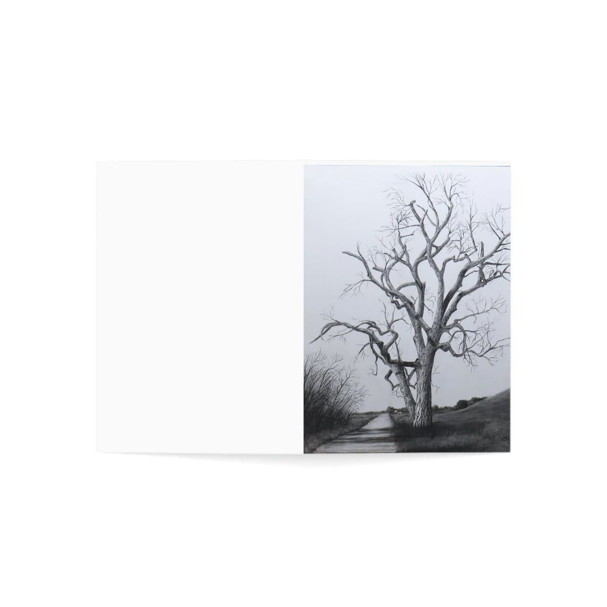 Greeting Cards (1, 10, 30, and 50pcs)