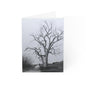 Greeting Cards (1, 10, 30, and 50pcs)