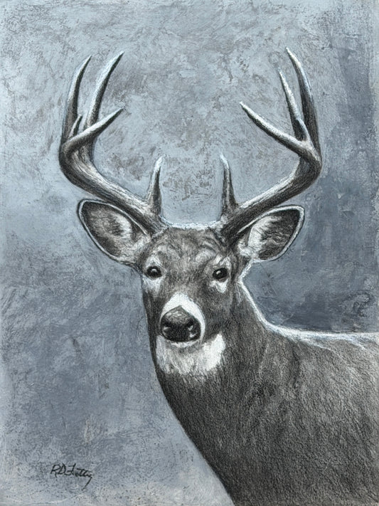 Watcher I – original charcoal on board, 9x12, whitetail buck portrait by Roger Fattig