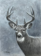 Watcher I – original charcoal on board, 9x12, whitetail buck portrait by Roger Fattig