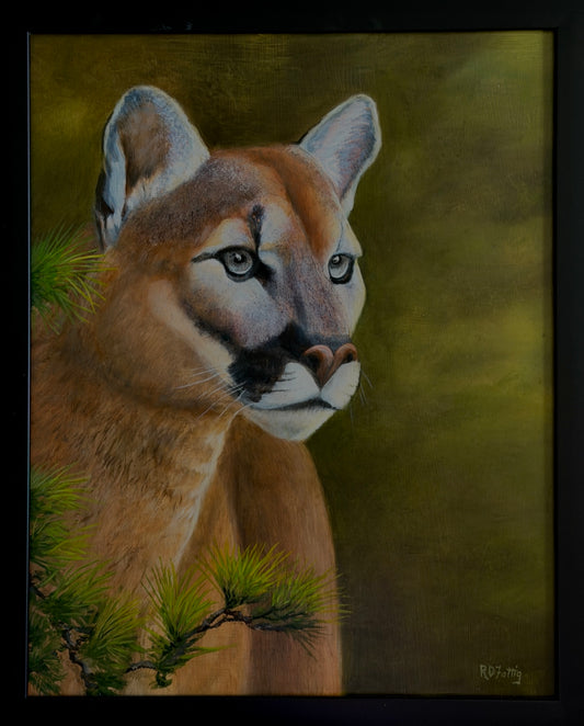 Phantom's Repose – original oil on board mountain lion portrait by Roger Fattig, 20x16 framed