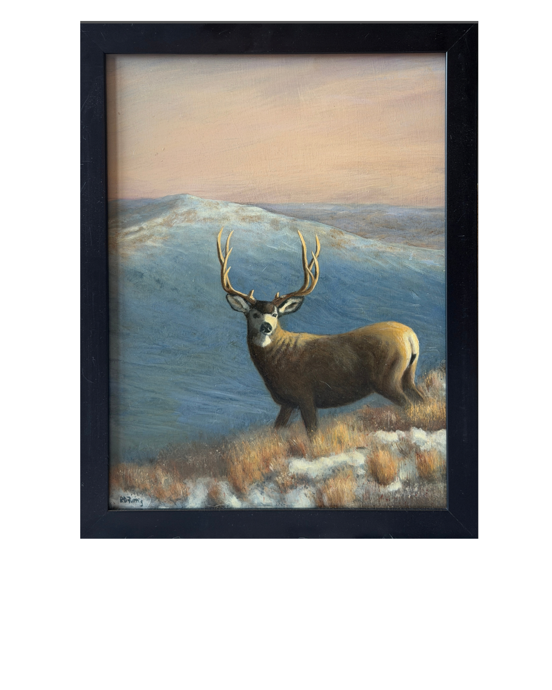 Sandhills Sunrise – Original oil painting of a mule deer buck at sunrise by Roger Fattig